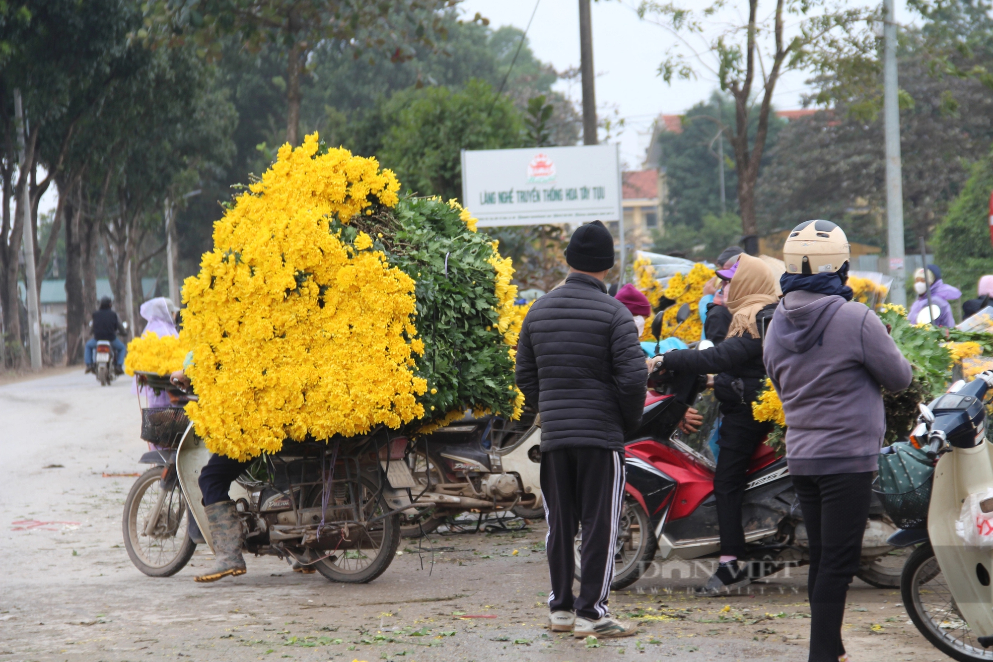 Người dân ở ngoại thành Hà Nội chia sẻ bí quyết chăm sóc để hoa nở rực đúng dịp Tết- Ảnh 4.