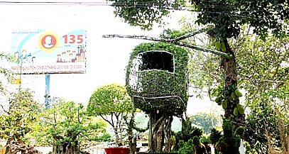 Một cây mai chiếu thủy hình máy bay trực thăng độc, lạ, hút ánh nhìn tại chợ hoa xuân An Giang- Ảnh 2.