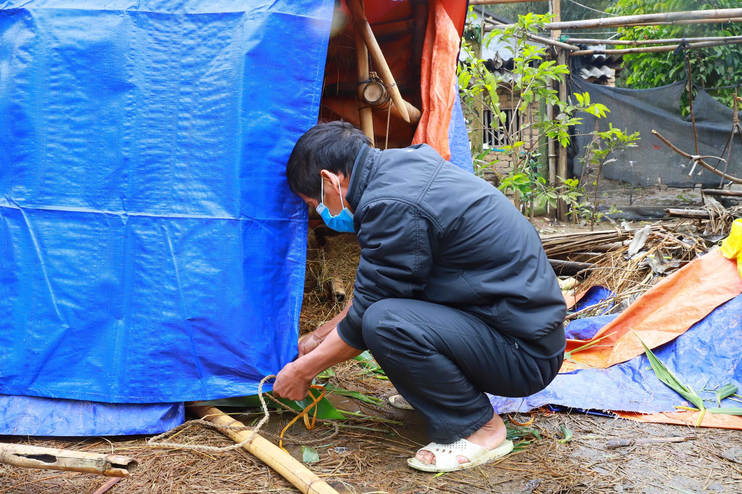Rét đậm rét hại bao trùm, nông dân Quảng Ninh nghĩ cách bảo vệ "đầu cơ nghiệp"- Ảnh 2.