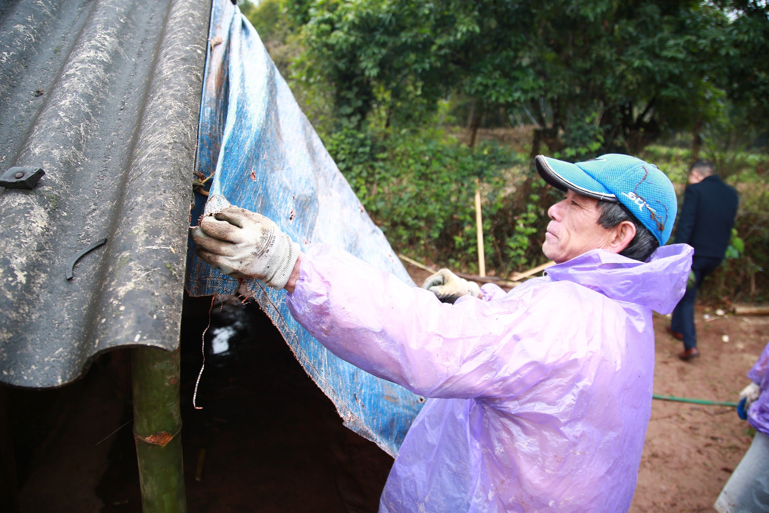 Rét đậm rét hại bao trùm, nông dân Quảng Ninh nghĩ cách bảo vệ "đầu cơ nghiệp"- Ảnh 1.