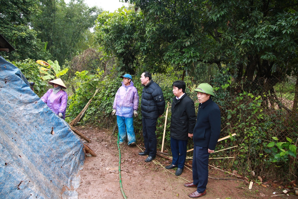 Rét đậm rét hại bao trùm, nông dân Quảng Ninh nghĩ cách bảo vệ "đầu cơ nghiệp"- Ảnh 4.