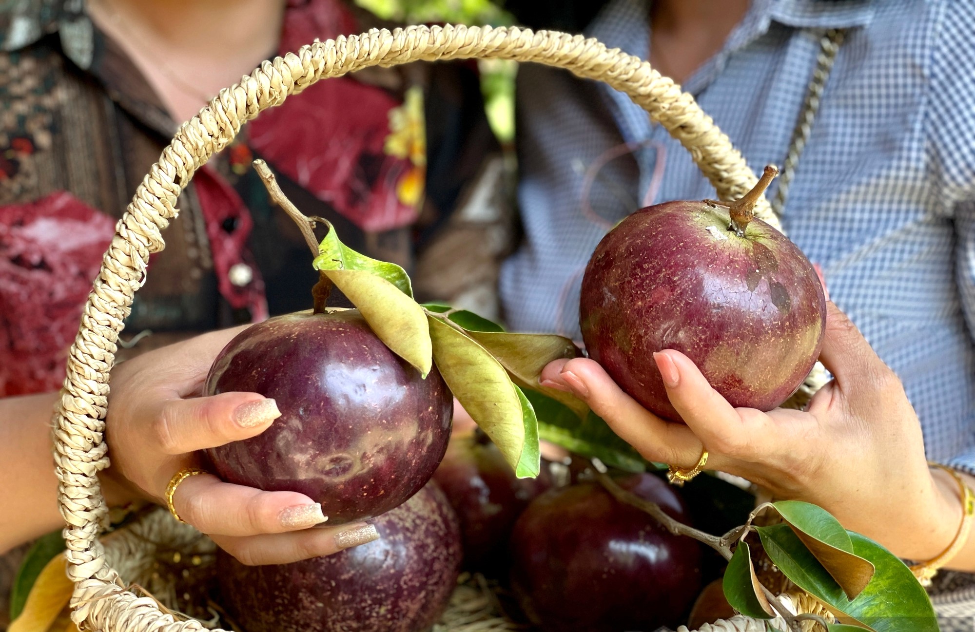 Sài thành chưa dễ mua được vú sữa lạ, ăn luôn cả vỏ- Ảnh 1.