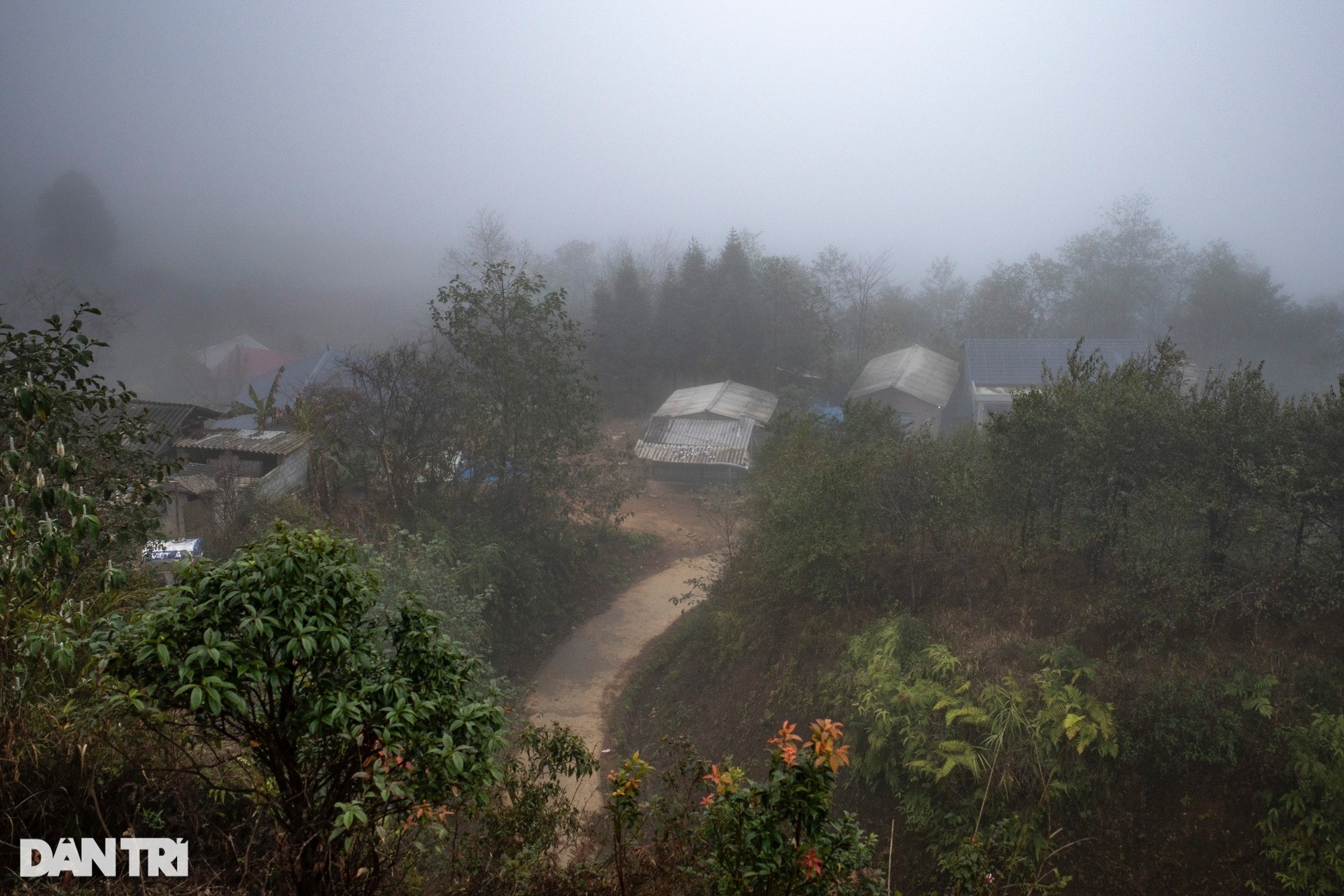 Mây mù phủ kín lối đi tại thôn bản cao nhất Việt Nam- Ảnh 2.
