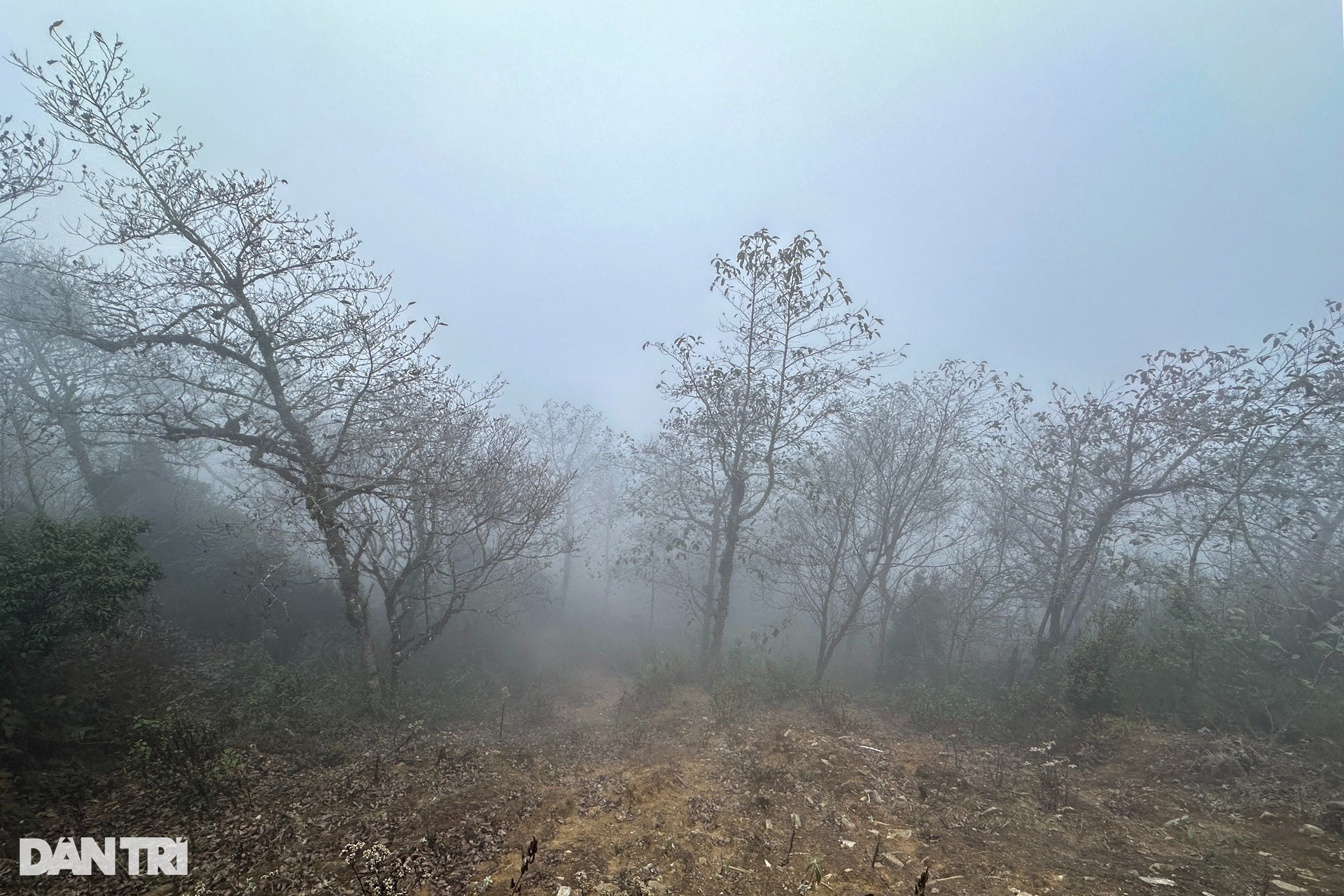 Mây mù phủ kín lối đi tại thôn bản cao nhất Việt Nam- Ảnh 9.