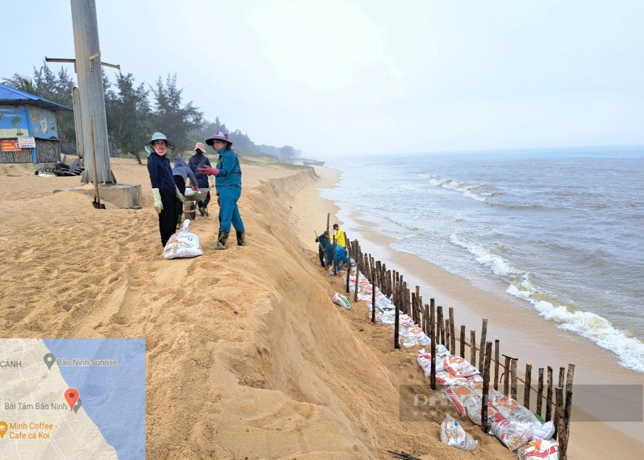 Tỉnh ủy Quảng Bình rốt ráo chỉ đạo ứng phó tình trạng xói lở bãi biển Bảo Ninh- Ảnh 3.