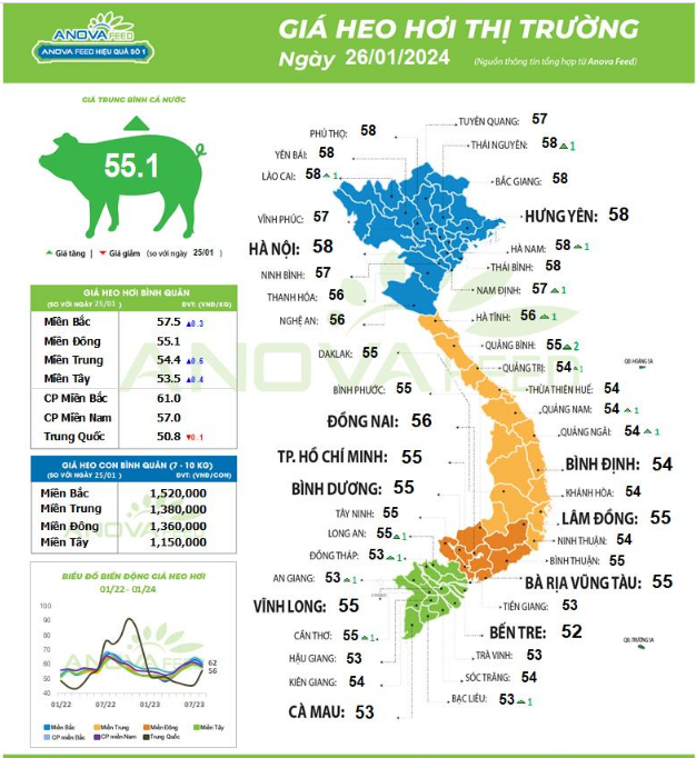 Giá lợn hơi sắp chạm mốc 60.000 đồng/kg, thị trường đang trên đà phục hồi nhanh dịp cận Tết- Ảnh 1.