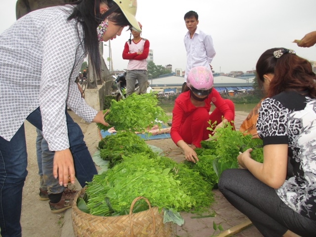 Một loại rau rừng ở Cao Bằng, dân vặt lá, hái hoa về nấu canh, ngọt như mì chính, húp vài thìa tỉnh cả người- Ảnh 1.