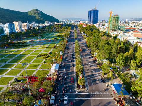 Bình Định: Quy Nhơn - nơi phủ cây xanh trên "đất vàng" - được vinh danh thành phố du lịch sạch ASEAN 2024- Ảnh 2.