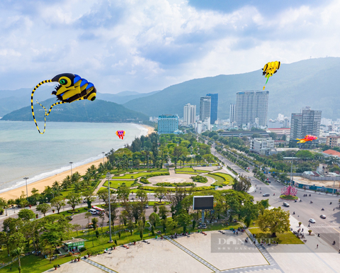 Bình Định: Quy Nhơn - nơi phủ cây xanh trên "đất vàng" - được vinh danh thành phố du lịch sạch ASEAN 2024- Ảnh 10.