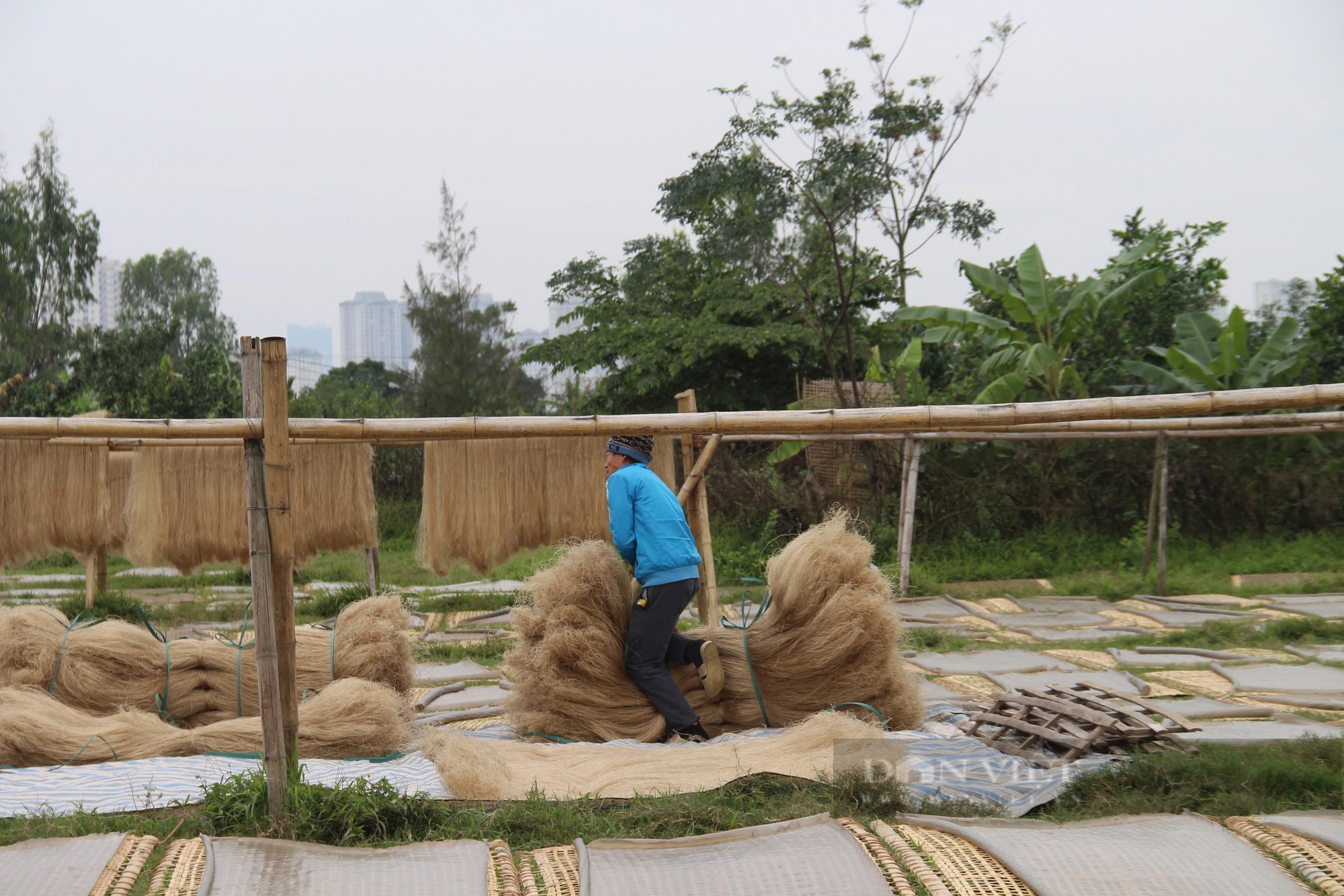 Người dân tiết lộ bí quyết tạo ra sợi miến Cự Đà nức tiếng Hà thành- Ảnh 2.