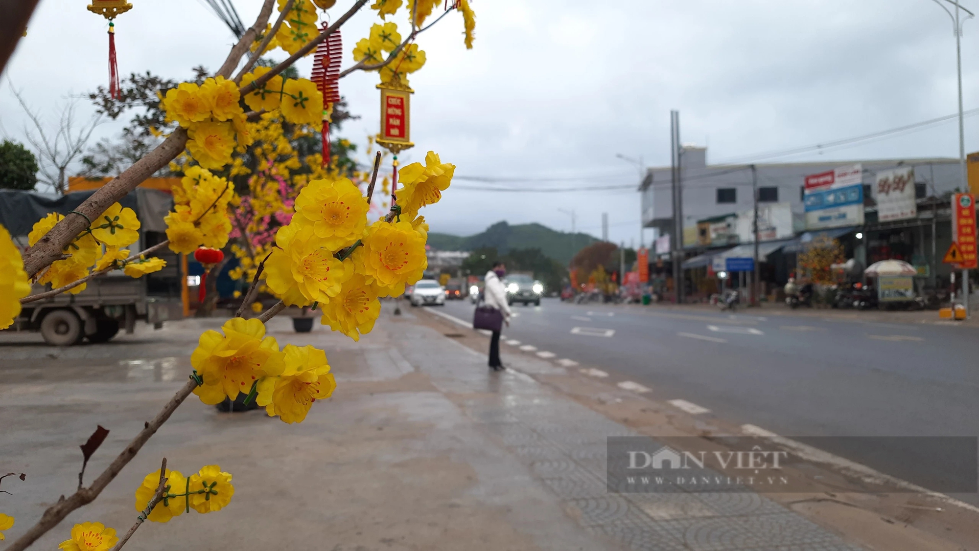 Con đường hoa đón Tết Nguyên đán 2024 ở Quảng Trị- Ảnh 3.