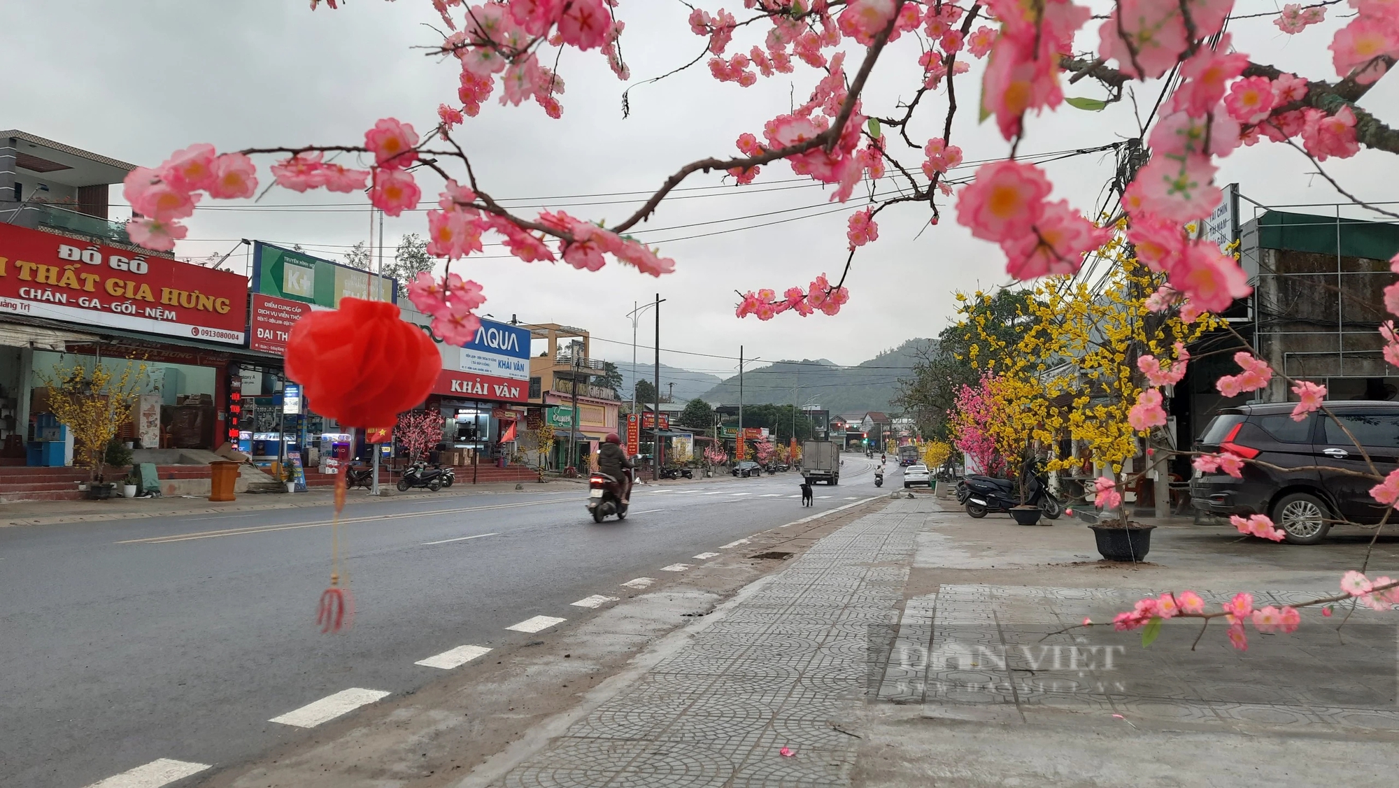 Con đường hoa đón Tết Nguyên đán 2024 ở Quảng Trị- Ảnh 4.