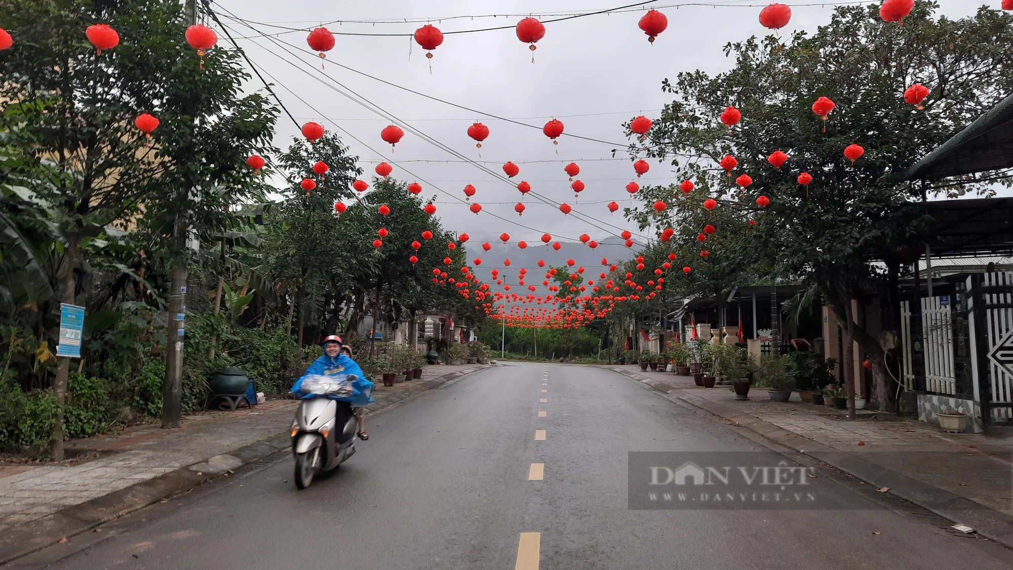 Con đường hoa đón Tết Nguyên đán 2024 ở Quảng Trị- Ảnh 5.