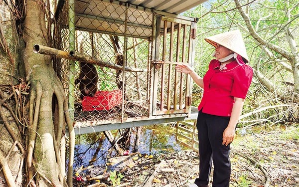 Ở một khu rừng nổi tiếng rộng 8.000ha ở Kiên Giang đang nuôi 202 con động vật hoang dã, con rái cá ngủ li bì