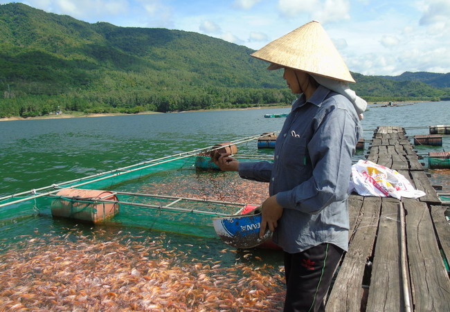 Một hồ nước đẹp ở Bình Định, dân nuôi hơn 700 tấn cá ngon- Ảnh 1.