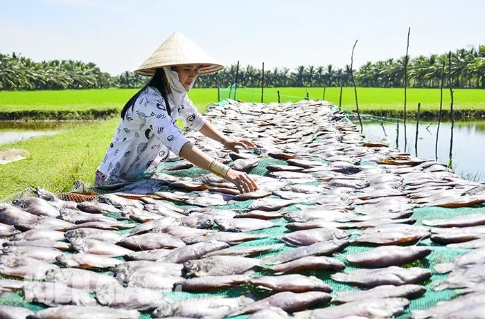 Món ăn ngày tết này ở Kiên Giang tăng từ 20.000-100.000 đồng/kg, có thứ khô cá giá 500.000 đồng/kg- Ảnh 1.