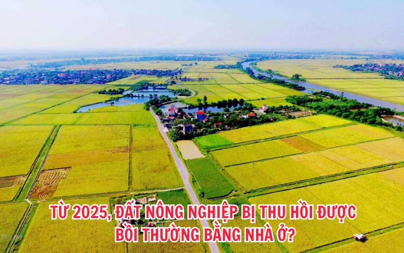 Từ 2025, đất nông nghiệp bị thu hồi được bồi thường bằng nhà ở?- Ảnh 1.