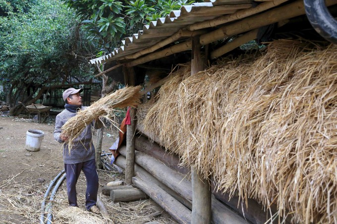 Sơn La tăng cường phòng chống đói, rét cho đàn vật nuôi- Ảnh 3.