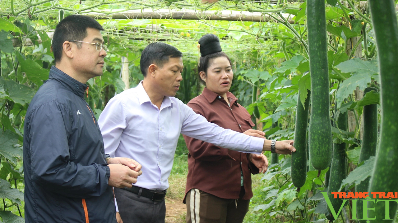 Thuận Châu: Xây dựng tổ chức Hội vững mạnh, đáp ứng yêu cầu công tác hội- Ảnh 1.