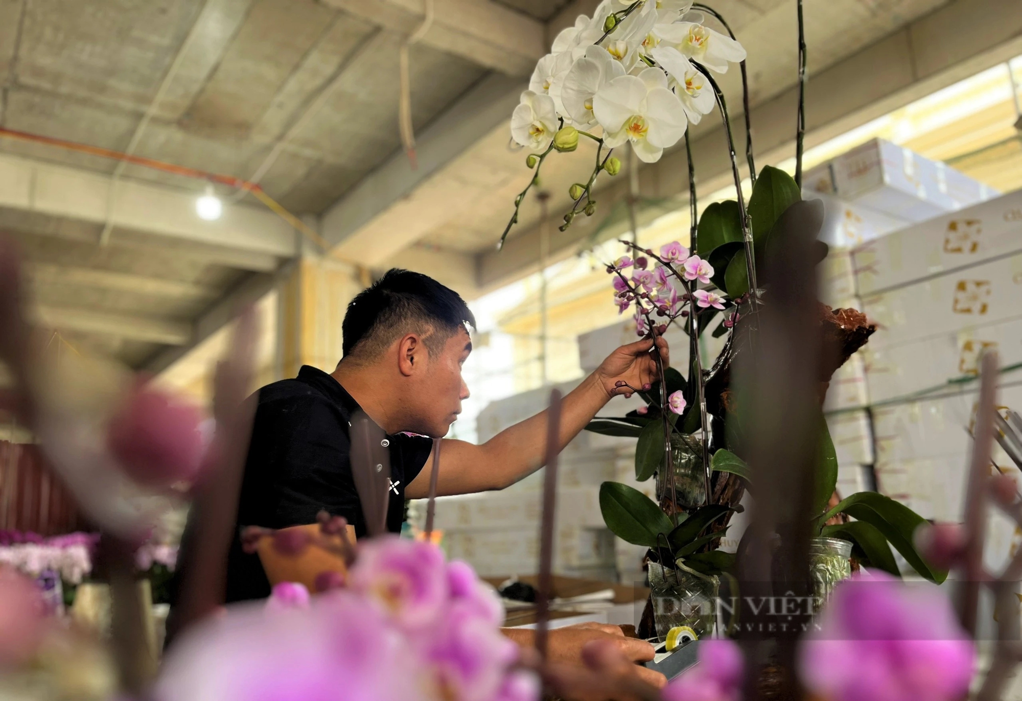 Có một nghề đang hot ở TP Vinh của Nghệ An, làm xuyên đêm, thu nhập "khủng" mùa Tết- Ảnh 4.