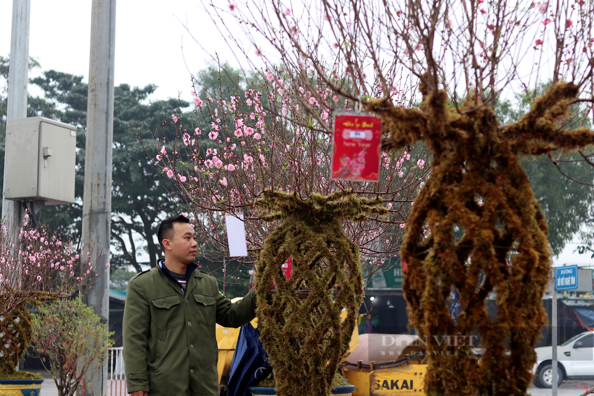 Độc lạ ở Hà Tĩnh, đào tết hình lộc bình giá chục triệu/cây vẫn đắt như tôm tươi- Ảnh 3.