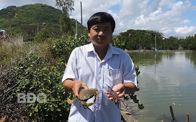 Nông dân một xã ở Bình Định cho tôm, cua, cá 
