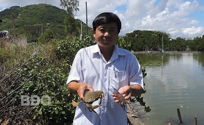 Nông dân một xã ở Bình Định cho tôm, cua, cá "chung một nhà", con nào cũng khỏe, bán dôi tiền hơn- Ảnh 2.