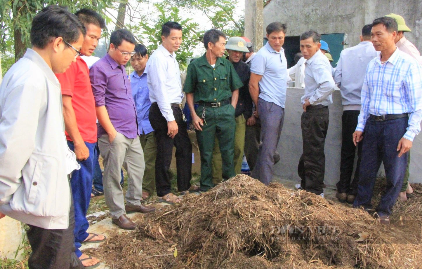 Trồng rau an toàn, dân một xã ở Nghệ An cứ nhổ là bán hết sạch, thu hàng trăm triệu/ha- Ảnh 3.