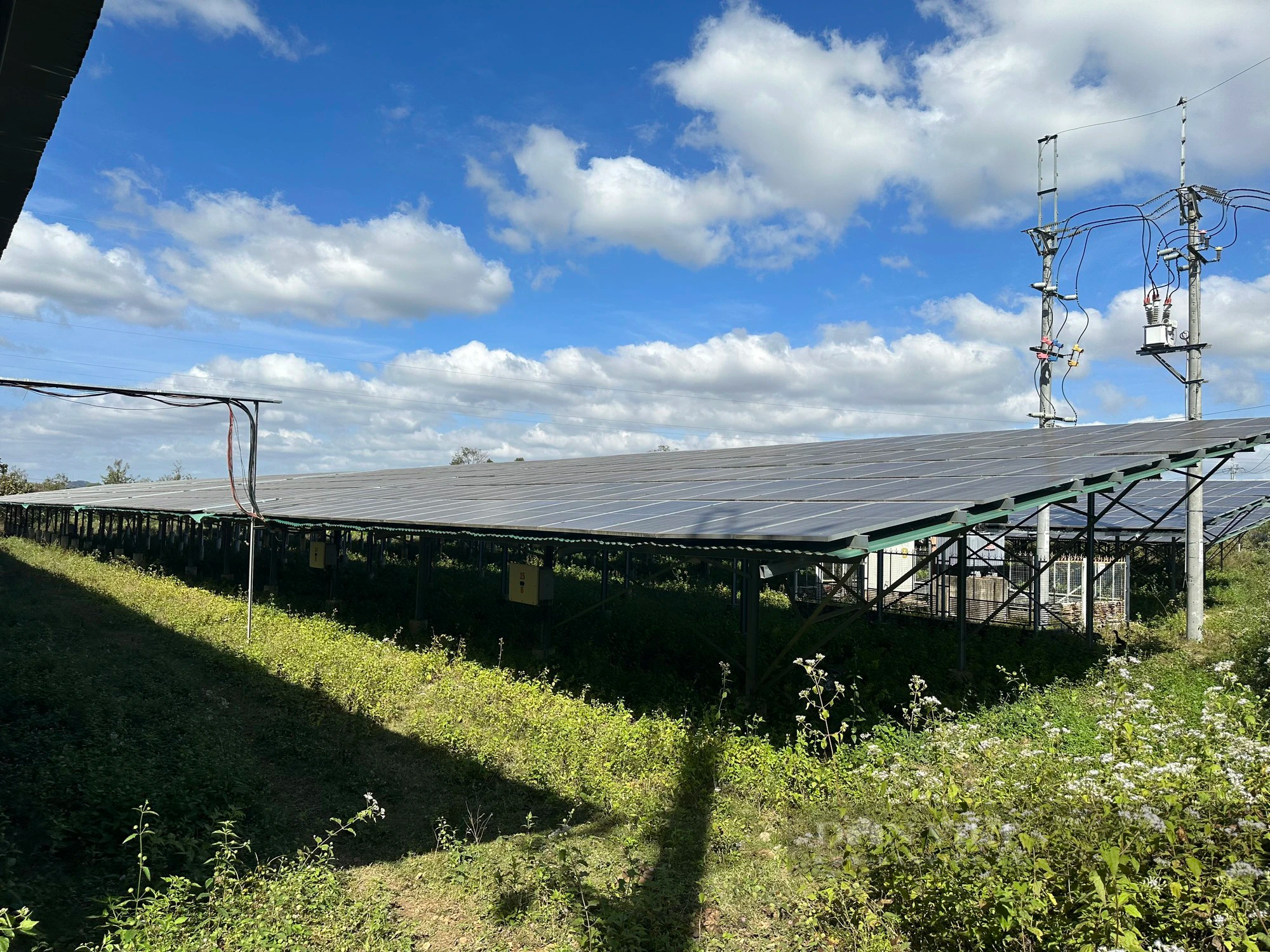 Vụ loạt dự án điện mặt trời "núp bóng" trang trại nông nghiệp: Sẽ thu hồi dự án nếu cố tình vi phạm- Ảnh 2.