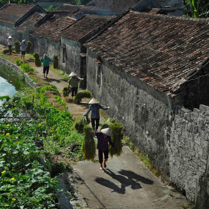Khám phá làng cổ ở Ninh Bình được ví là "phiên bản của làng cổ Đường Lâm"- Ảnh 4.
