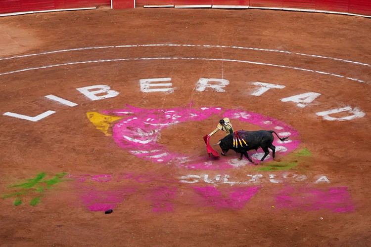 Đấu bò lớn nhất thế giới ở Mexico vẫn diễn ra, thu hút hàng vạn khán giả dù bị phản đối mạnh mẽ- Ảnh 1.