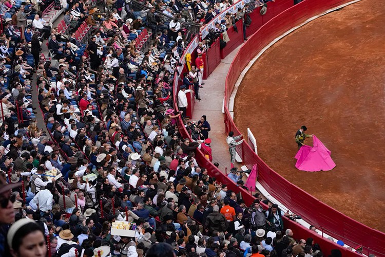 Đấu bò lớn nhất thế giới ở Mexico vẫn diễn ra, thu hút hàng vạn khán giả dù bị phản đối mạnh mẽ- Ảnh 4.