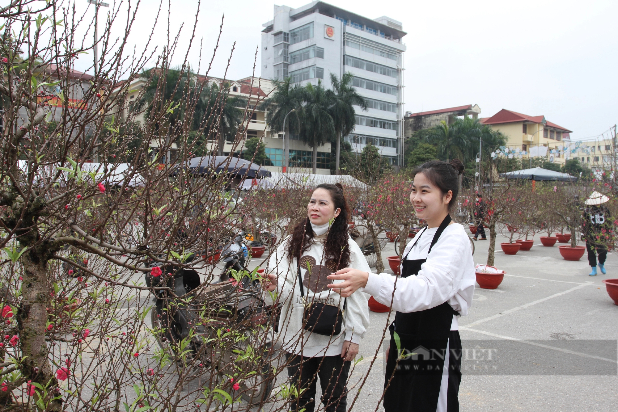 Chợ hoa cây cảnh tết Thái Nguyên, dân tấp nập xem, tiểu thương nóng ruột - Ảnh 5.