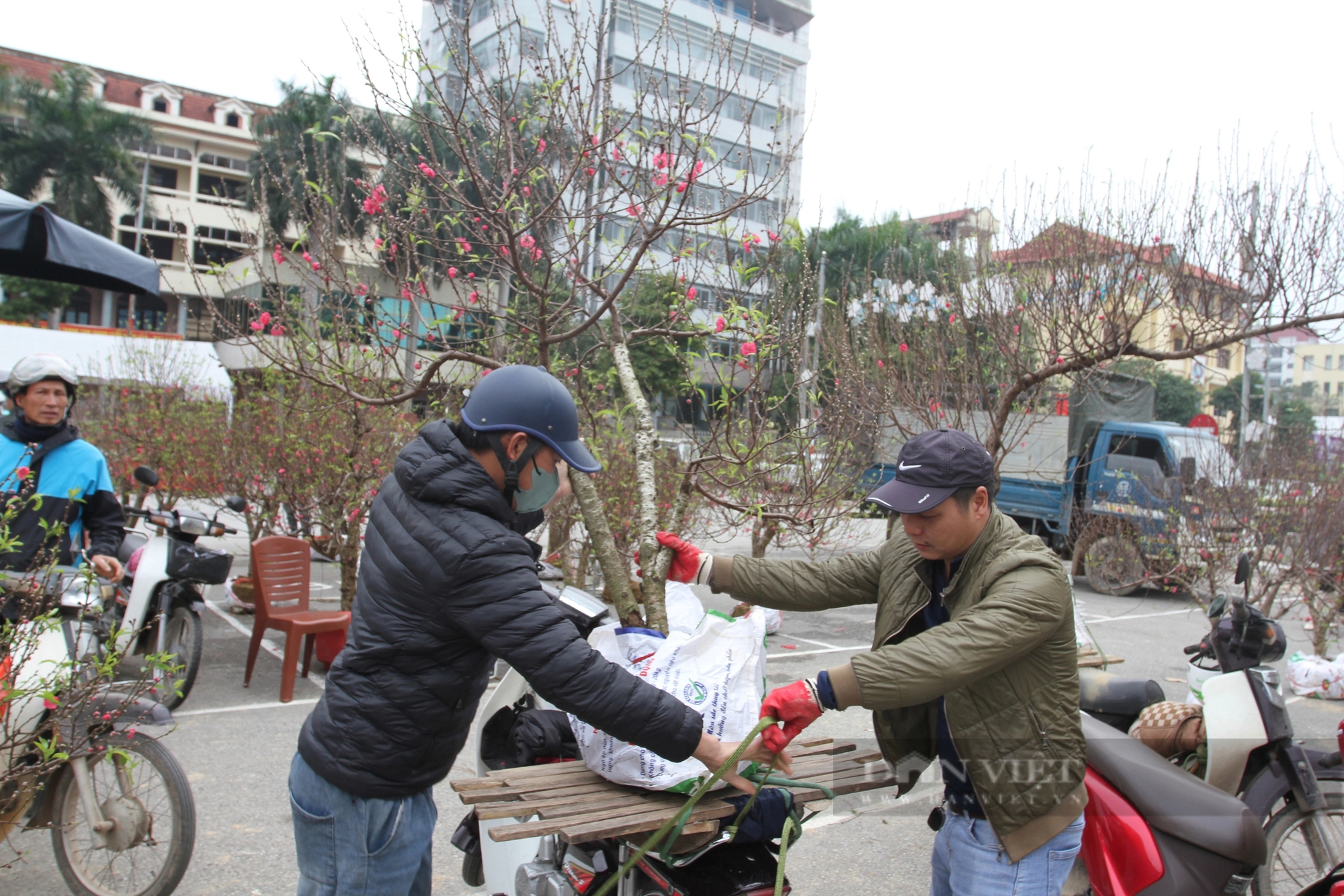 Chợ hoa cây cảnh tết Thái Nguyên, dân tấp nập xem, tiểu thương nóng ruột - Ảnh 4.