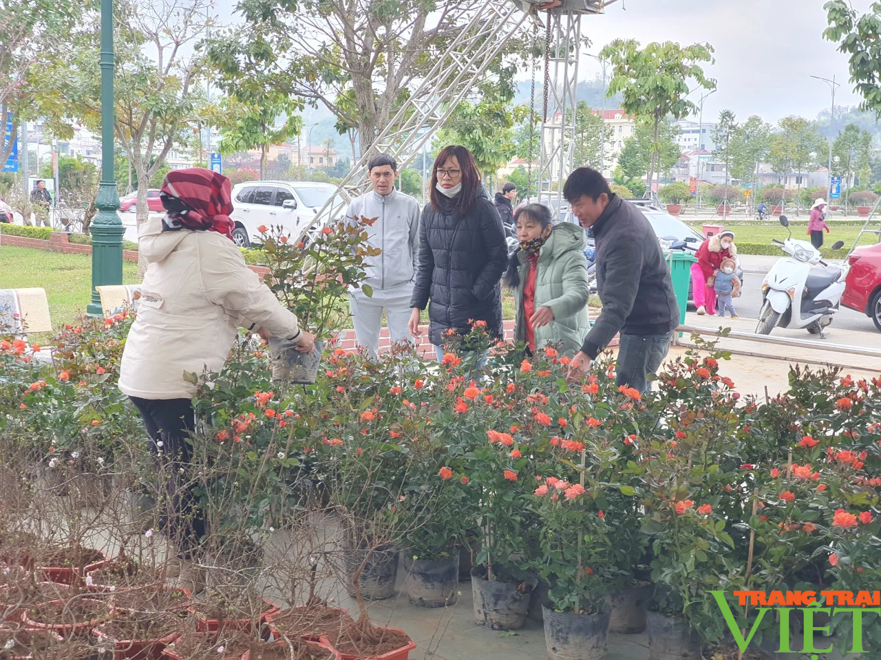 Chợ hoa Xuân thành phố Sơn La hút khách ngày đầu khai mạc- Ảnh 3.