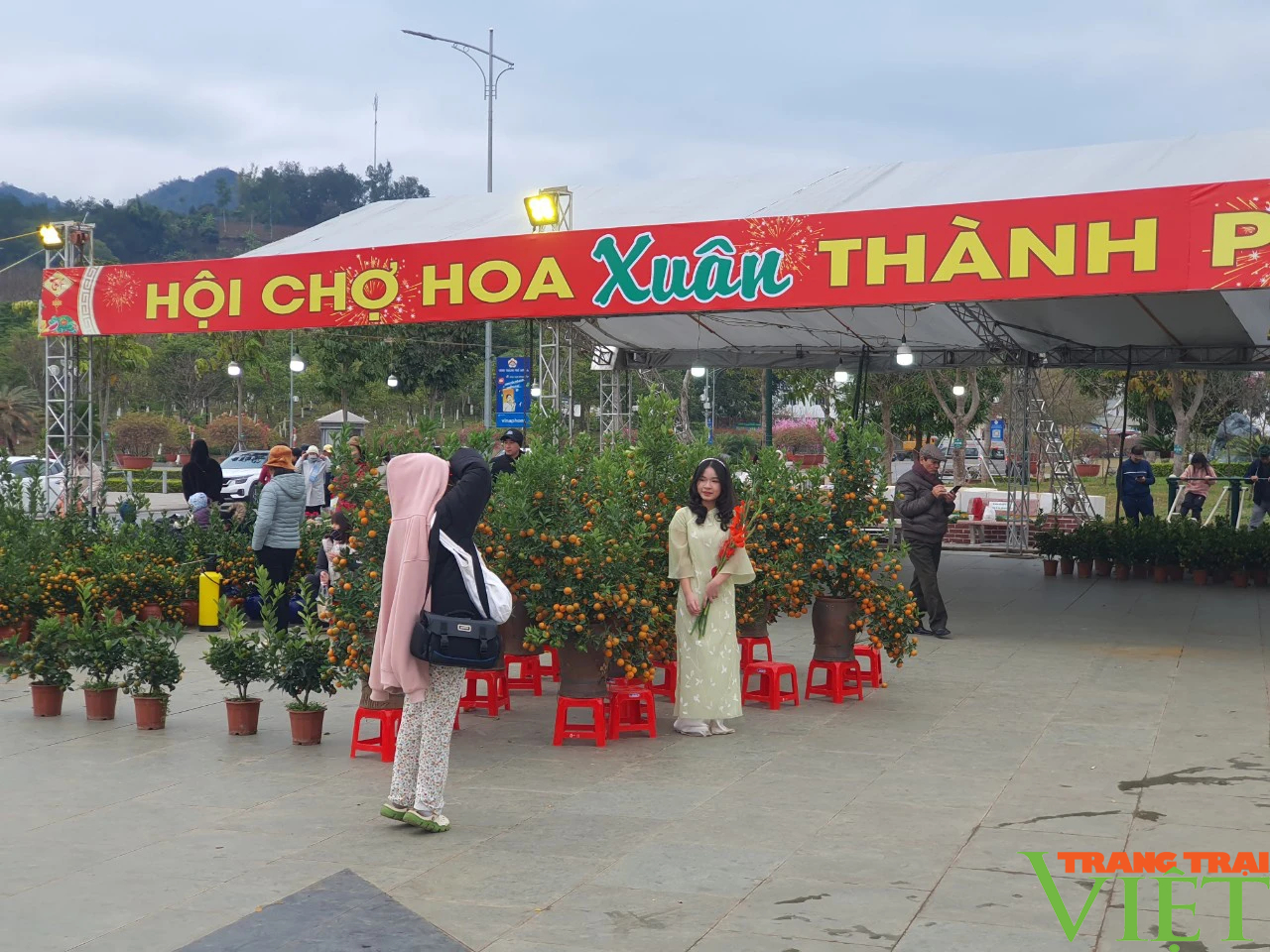 Chợ hoa Xuân thành phố Sơn La hút khách ngày đầu khai mạc- Ảnh 5.