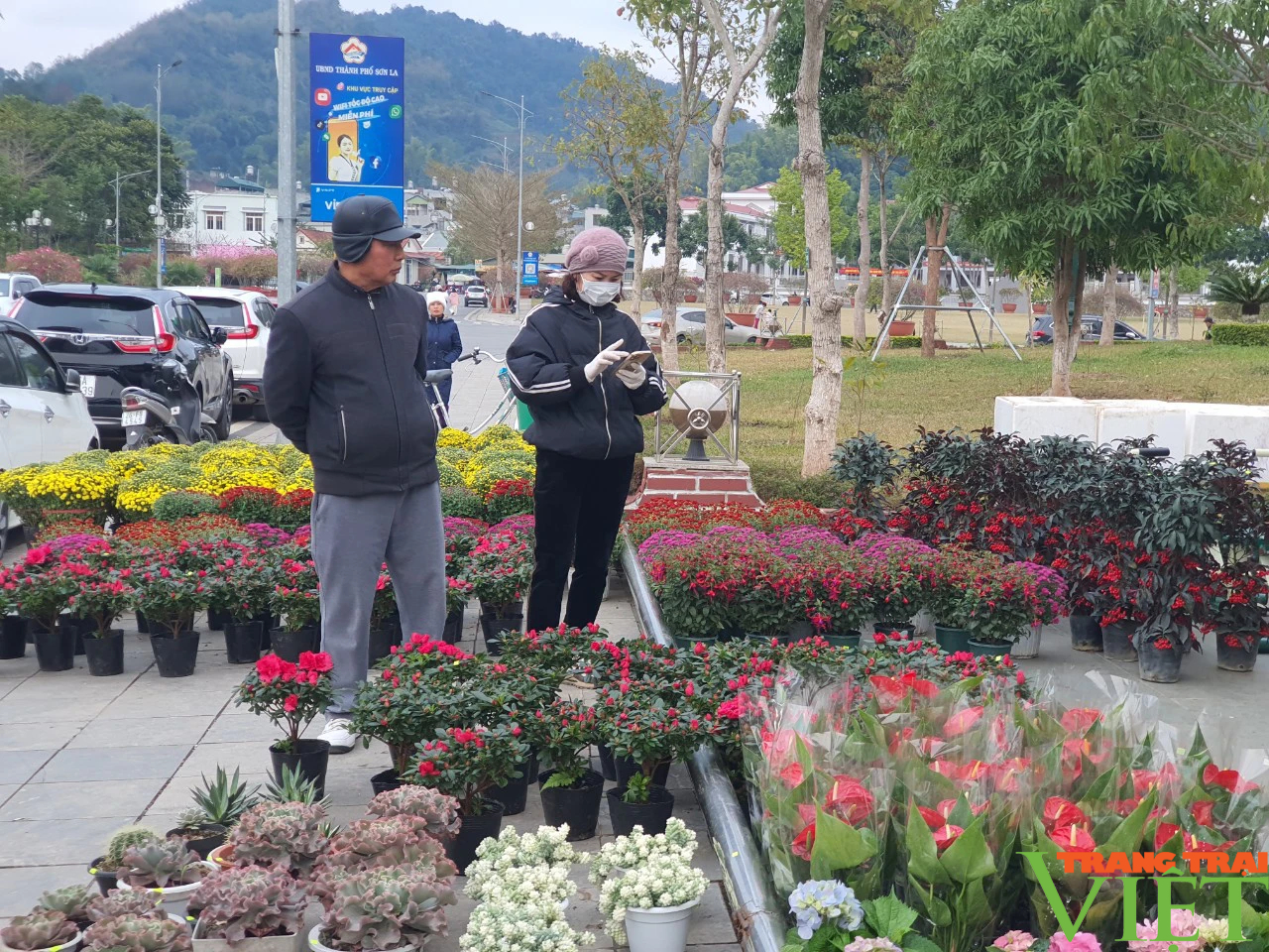 Chợ hoa Xuân thành phố Sơn La hút khách ngày đầu khai mạc- Ảnh 10.