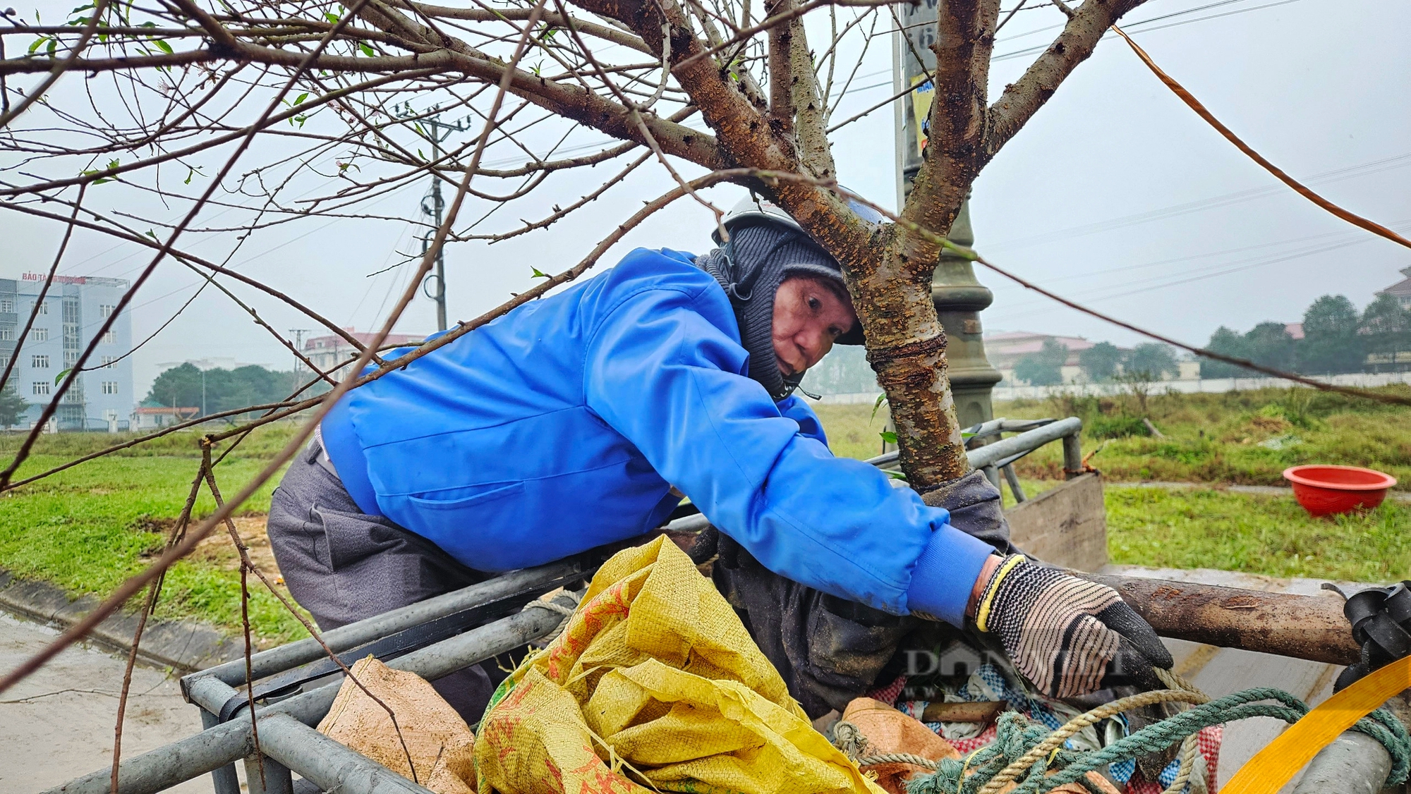 Hà Tĩnh: Dịch vụ “chở Tết về nhà”, vất vả nhưng thu nhập tiền triệu mỗi ngày- Ảnh 8.