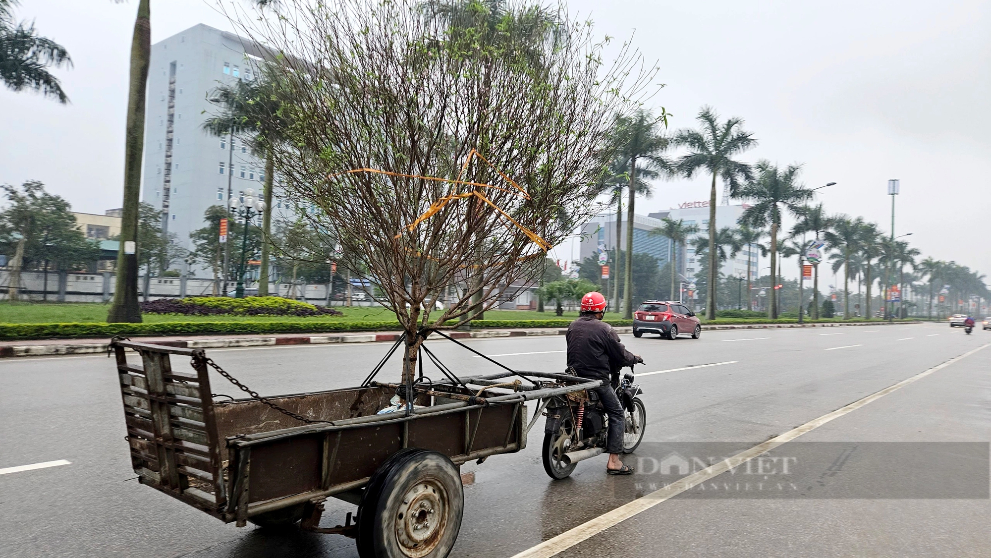 Hà Tĩnh: Dịch vụ “chở Tết về nhà”, vất vả nhưng thu nhập tiền triệu mỗi ngày- Ảnh 11.