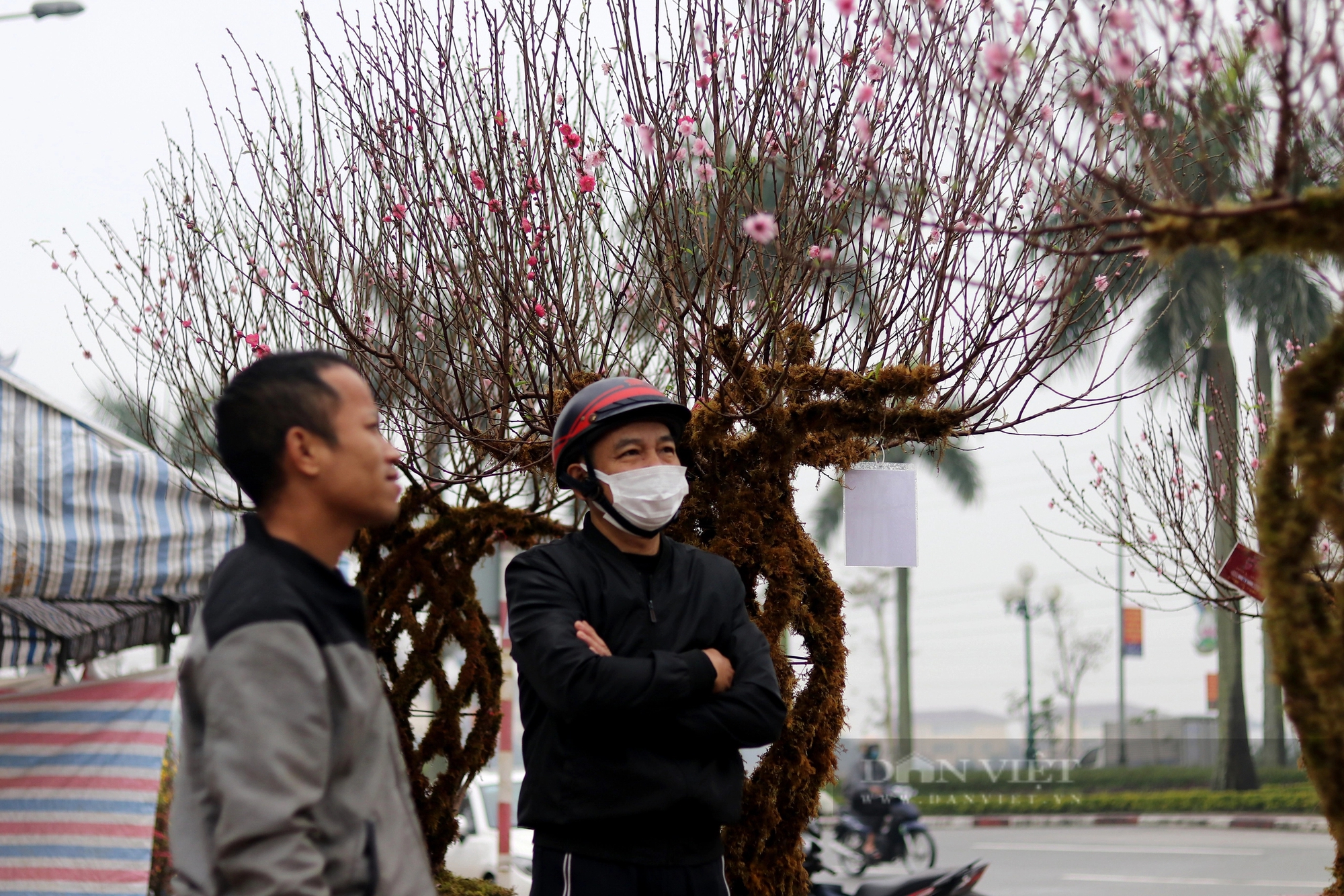 Hà Tĩnh: Nhộn nhịp thị trường cây cảnh Tết Giáp Thìn 2024, cây quất "độc, lạ" được rao bán gần 100 triệu đồng- Ảnh 10.