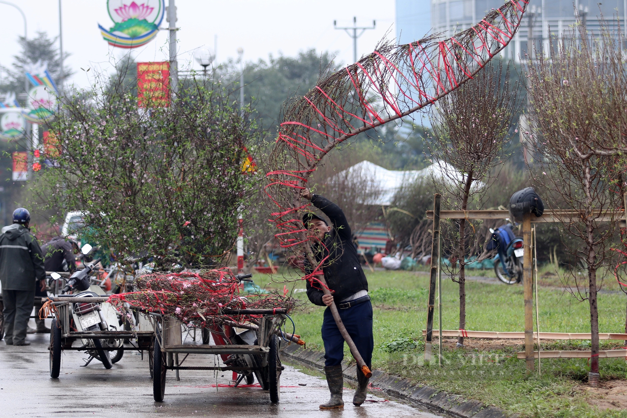 Hà Tĩnh: Nhộn nhịp thị trường cây cảnh Tết Giáp Thìn 2024, cây quất "độc, lạ" được rao bán gần 100 triệu đồng- Ảnh 12.