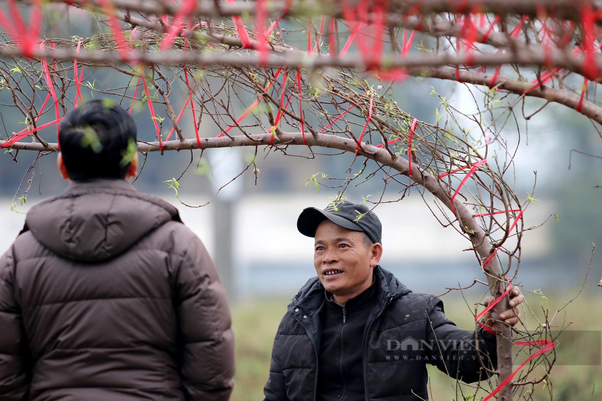Hà Tĩnh: Nhộn nhịp thị trường cây cảnh Tết Giáp Thìn 2024, cây quất "độc, lạ" được rao bán gần 100 triệu đồng- Ảnh 13.