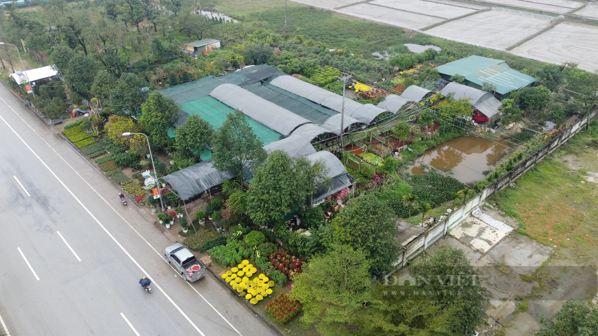 Hà Tĩnh: Nhộn nhịp thị trường cây cảnh Tết Giáp Thìn 2024, cây quất "độc, lạ" được rao bán gần 100 triệu đồng- Ảnh 17.