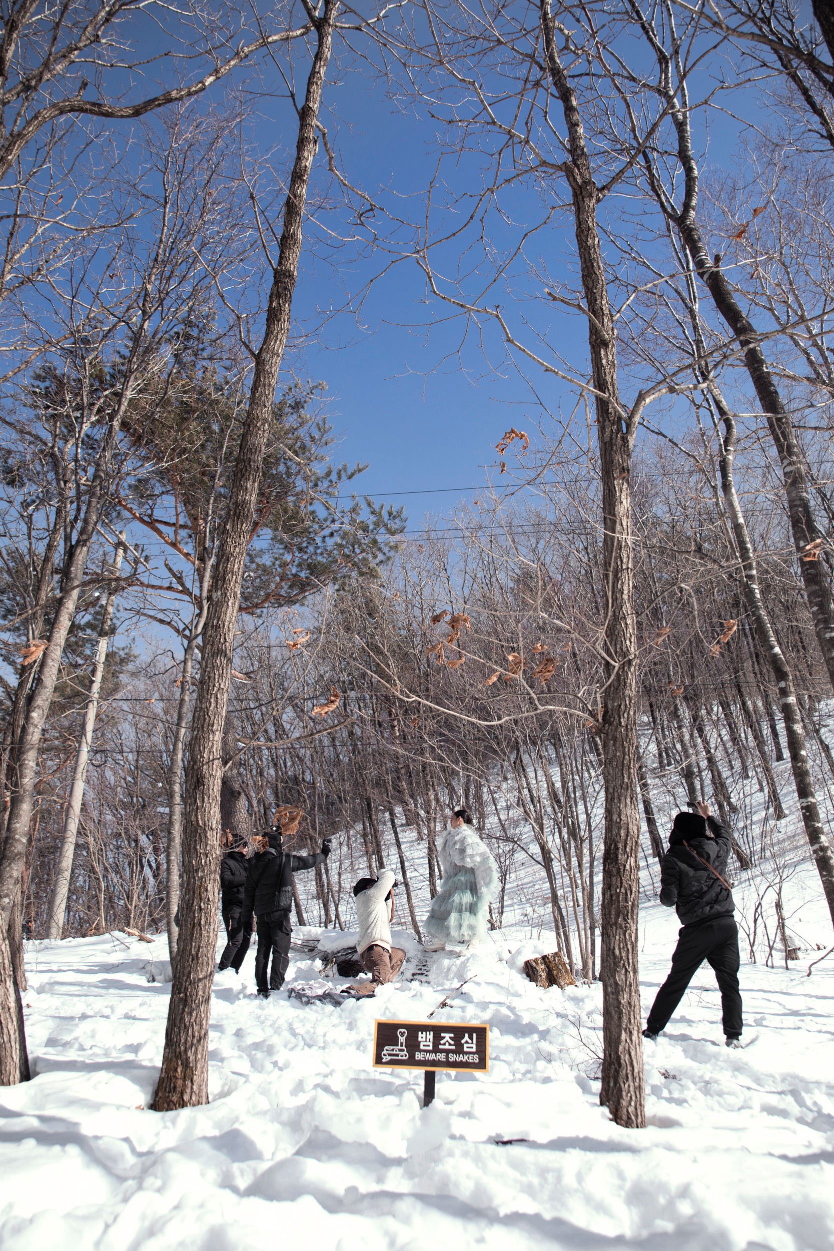 Xuân Lan cùng dàn người mẫu sải bước catwalk trên nền tuyết trắng- Ảnh 3.