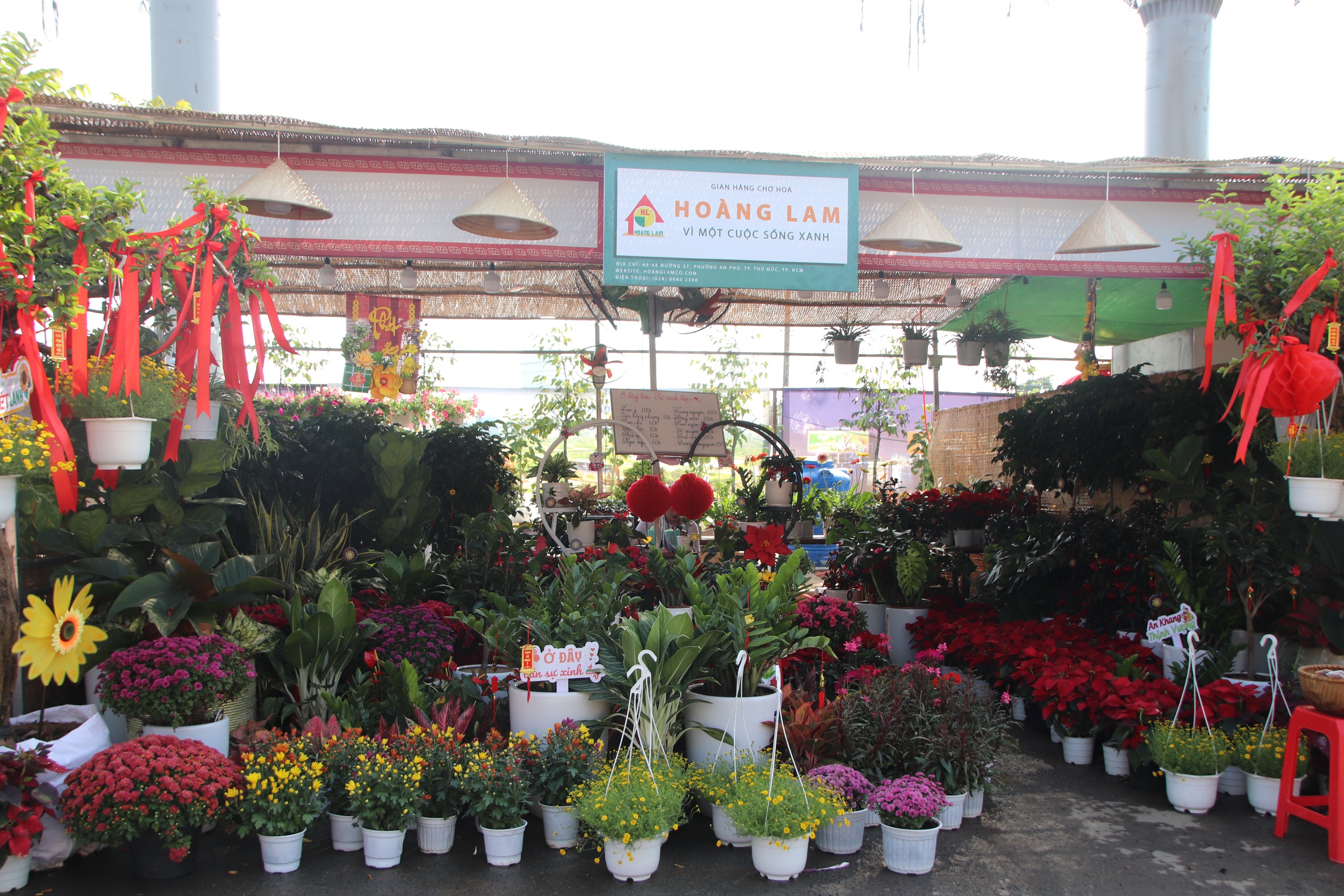 Công viên bờ sông Sài Gòn rực rỡ, các gian hàng chợ hoa Tết nối tiếp nhau khoe sắc- Ảnh 6.