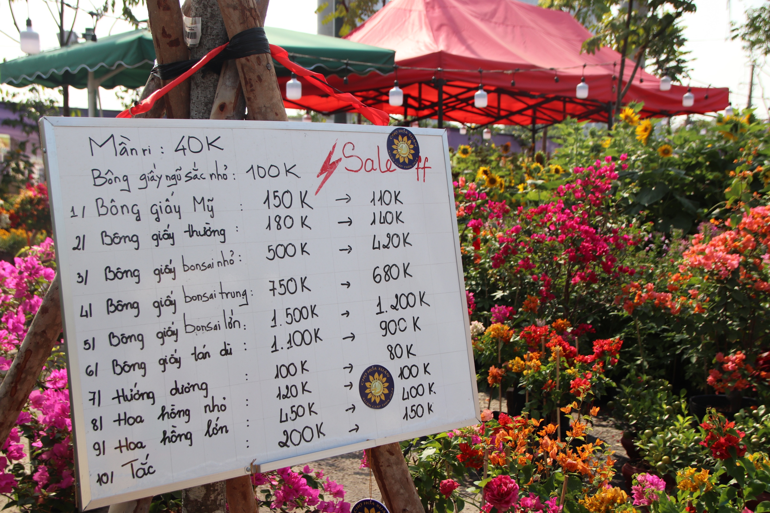 Công viên bờ sông Sài Gòn rực rỡ, các gian hàng chợ hoa Tết nối tiếp nhau khoe sắc- Ảnh 7.