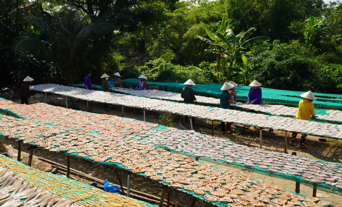 Đặc sản ăn tết phơi la liệt dưới trời nắng chang chang ở Đồng Tháp, giá bán cao nhất 160.000 đồng/kg- Ảnh 3.