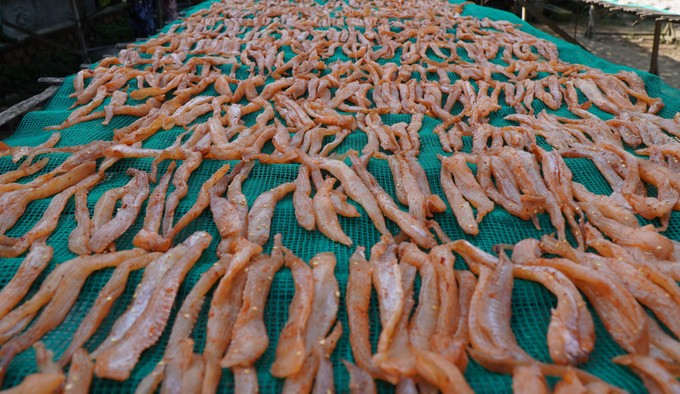 Đặc sản ăn tết phơi la liệt dưới trời nắng chang chang ở Đồng Tháp, giá bán cao nhất 160.000 đồng/kg- Ảnh 1.