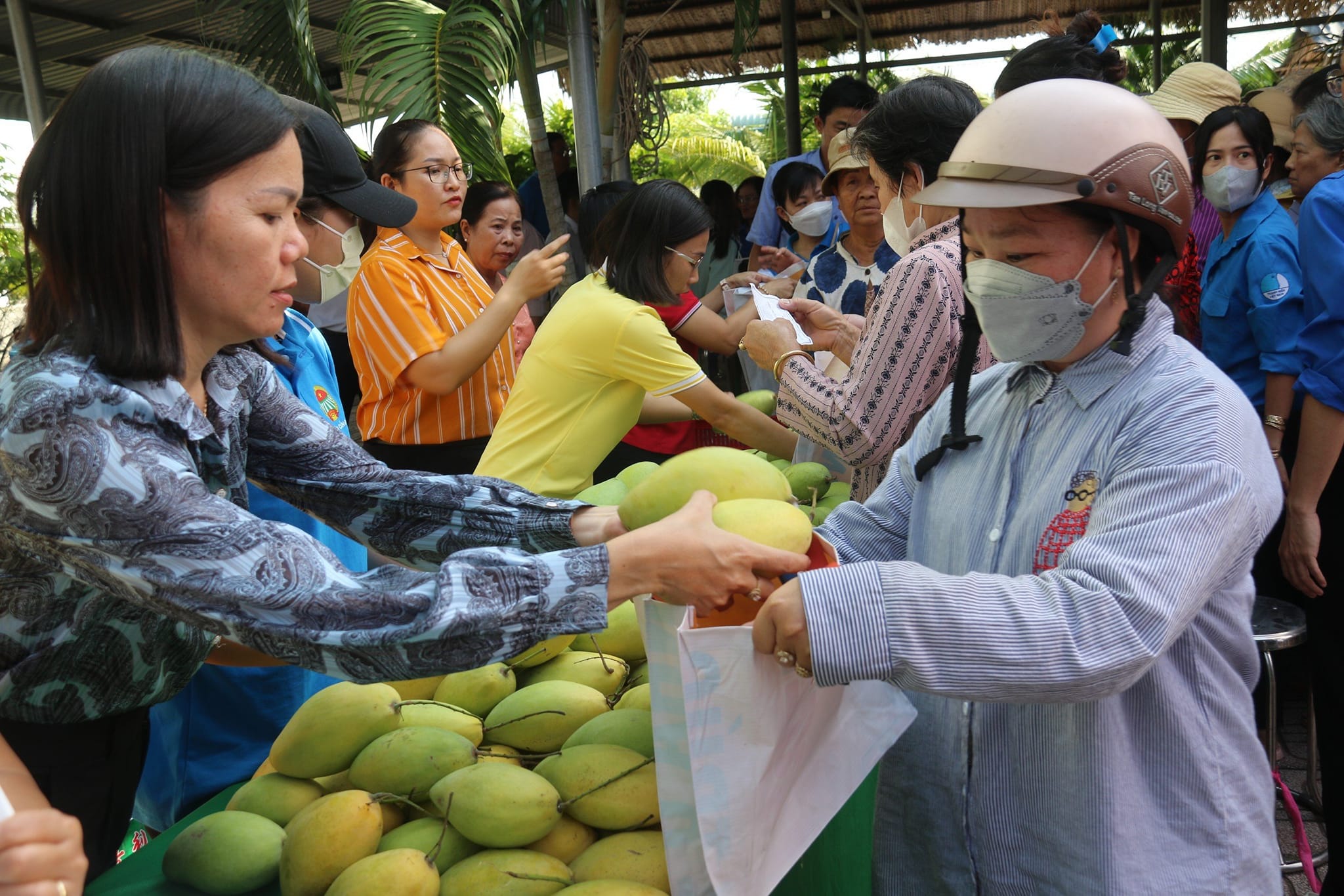 Nhiều vùng ngoại thành TP.HCM đón Tết theo kiểu riêng, người dân có thêm nhiều điểm vui chơi- Ảnh 5.