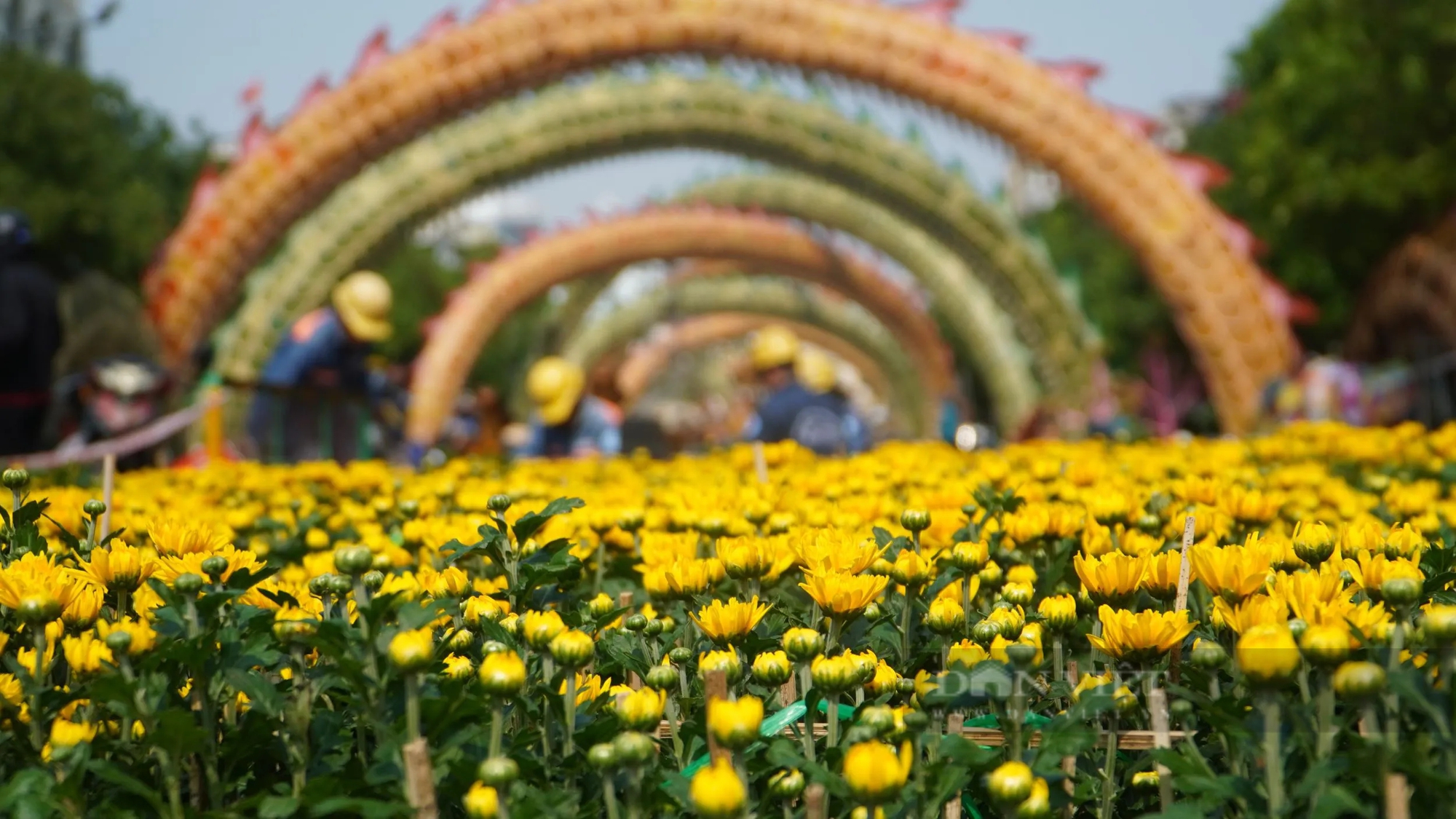 Hàng trăm công nhân gấp rút thi công linh vật rồng khổng lồ dài 150m trên đường hoa Nguyễn Huệ- Ảnh 12.